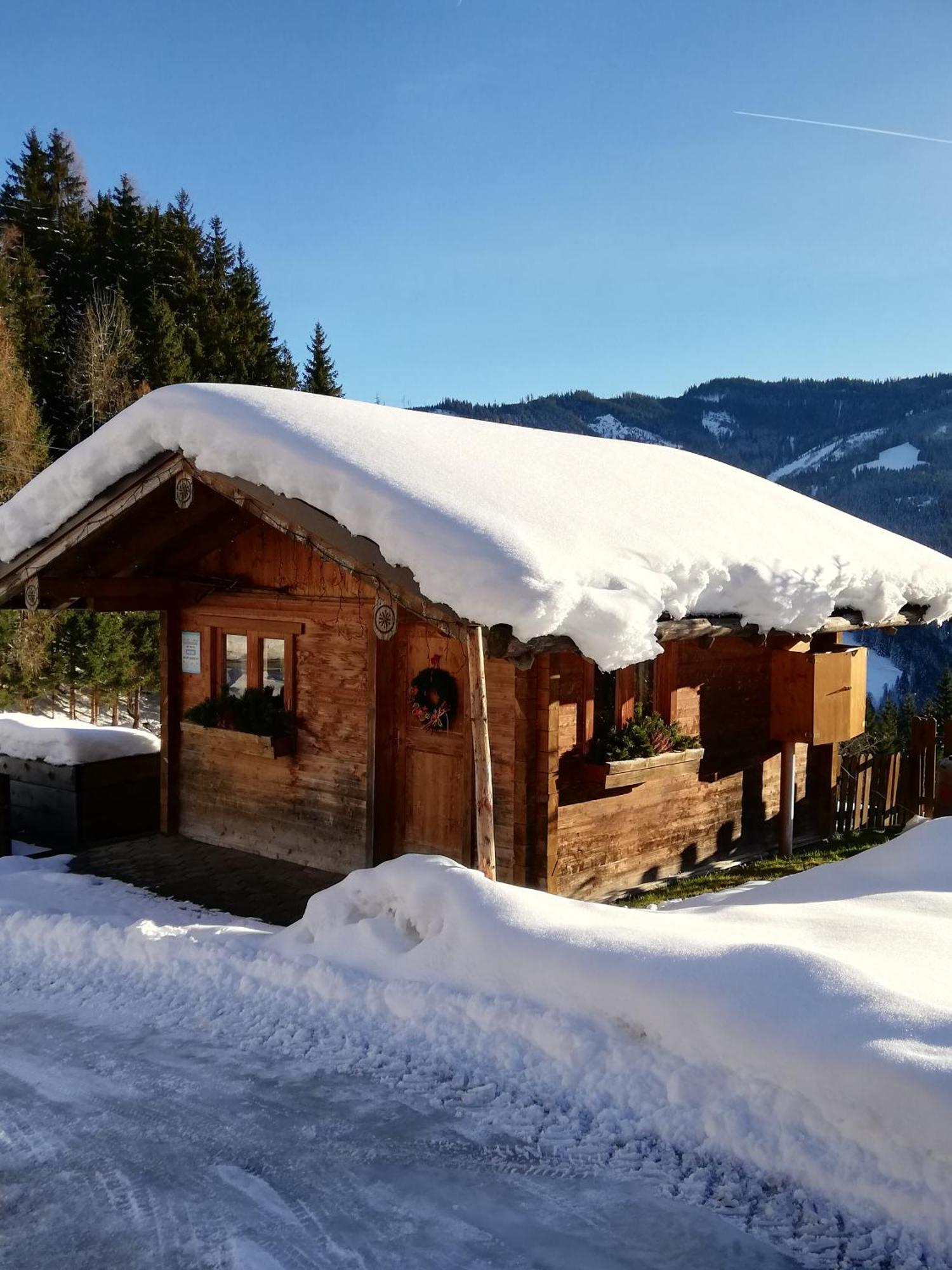 Bauernhof Bachgut Villa Mühlbach am Hochkönig Exteriör bild