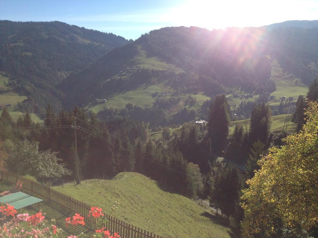 Bauernhof Bachgut Villa Mühlbach am Hochkönig Rum bild